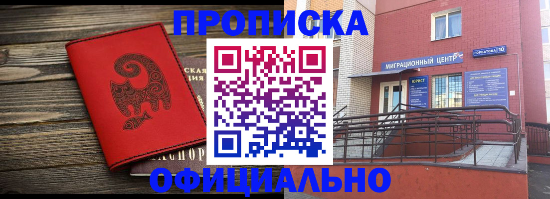 прописка поиск в Курской области